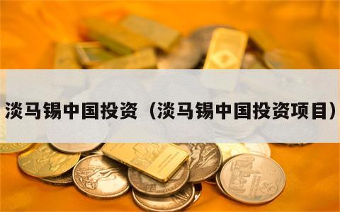 淡马锡中国投资（淡马锡中国投资项目）