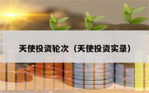 天使投资轮次（天使投资实录）