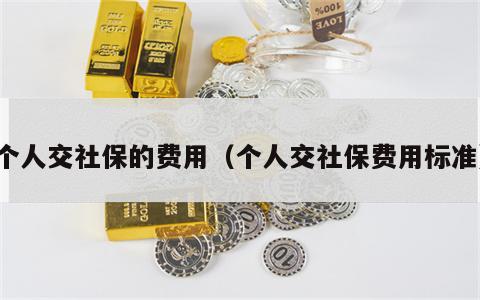 个人交社保的费用（个人交社保费用标准）