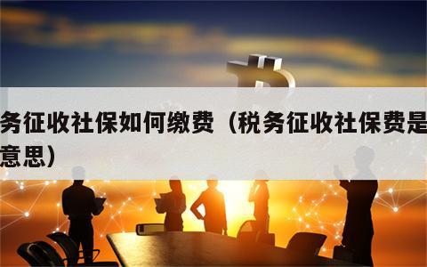 税务征收社保如何缴费（税务征收社保费是什么意思）
