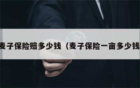 麦子保险赔多少钱（麦子保险一亩多少钱）
