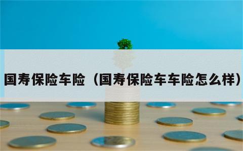 国寿保险车险（国寿保险车车险怎么样）