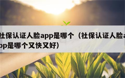 社保认证人脸app是哪个（社保认证人脸app是哪个又快又好）