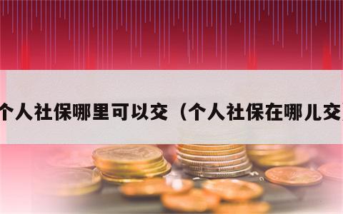 个人社保哪里可以交（个人社保在哪儿交）