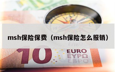 msh保险保费（msh保险怎么报销）