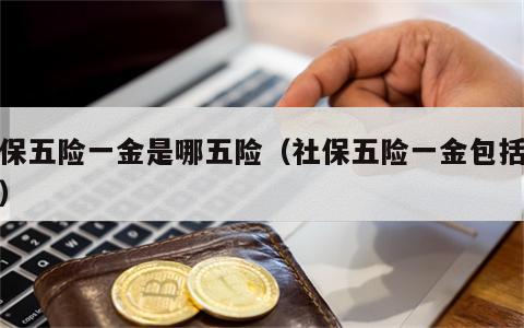 社保五险一金是哪五险（社保五险一金包括什么）