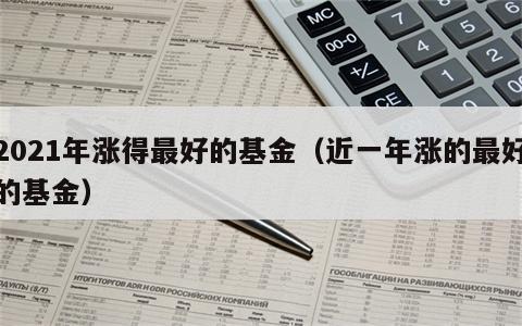 2021年涨得最好的基金（近一年涨的最好的基金）