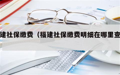 福建社保缴费（福建社保缴费明细在哪里查询）