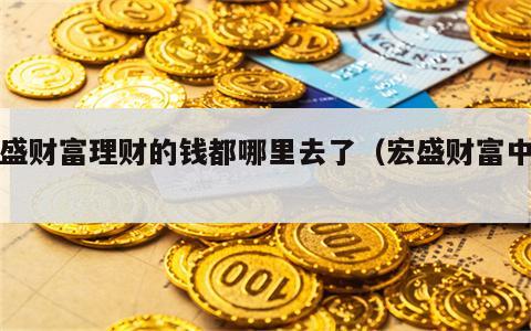 宏盛财富理财的钱都哪里去了（宏盛财富中心）