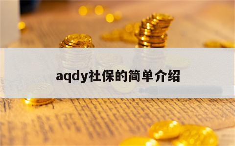 aqdy社保的简单介绍