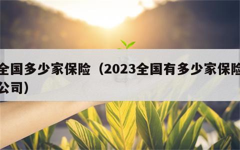 全国多少家保险（2023全国有多少家保险公司）