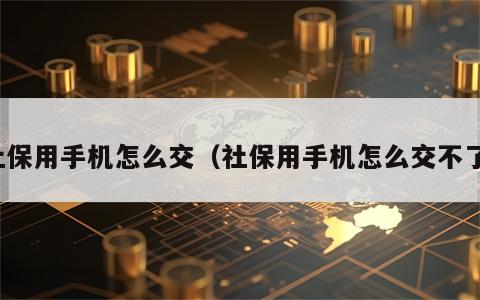 社保用手机怎么交（社保用手机怎么交不了）
