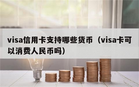 visa信用卡支持哪些货币（visa卡可以消费人民币吗）