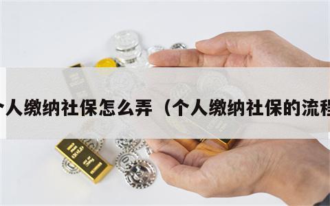个人缴纳社保怎么弄（个人缴纳社保的流程）