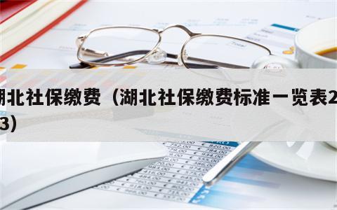 湖北社保缴费（湖北社保缴费标准一览表2023）