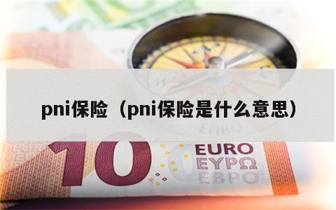 pni保险（pni保险是什么意思）