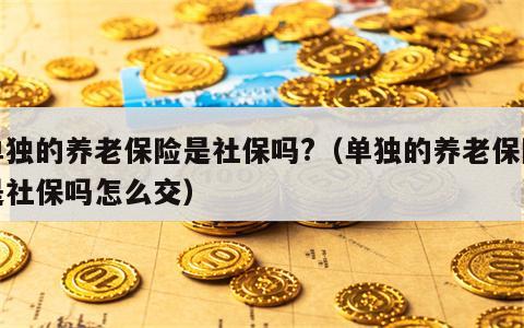 单独的养老保险是社保吗?（单独的养老保险是社保吗怎么交）