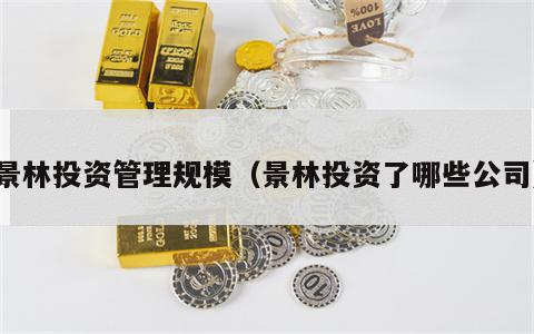 景林投资管理规模（景林投资了哪些公司）