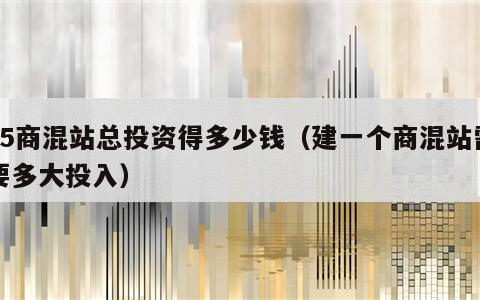 75商混站总投资得多少钱（建一个商混站需要多大投入）