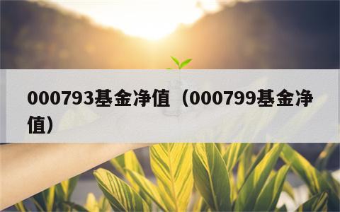000793基金净值（000799基金净值）