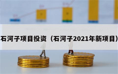 石河子项目投资（石河子2021年新项目）