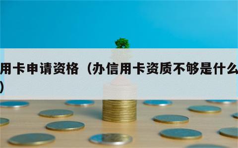 信用卡申请资格（办信用卡资质不够是什么意思）
