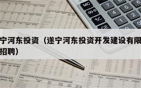 遂宁河东投资（遂宁河东投资开发建设有限公司招聘）