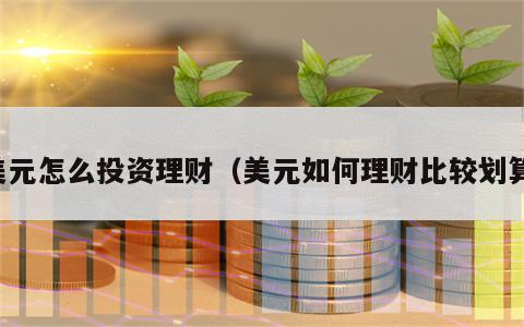 美元怎么投资理财（美元如何理财比较划算）