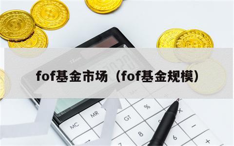 fof基金市场（fof基金规模）