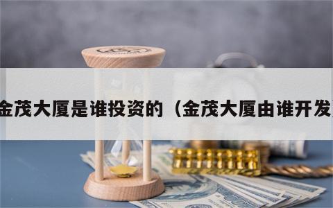 金茂大厦是谁投资的（金茂大厦由谁开发）