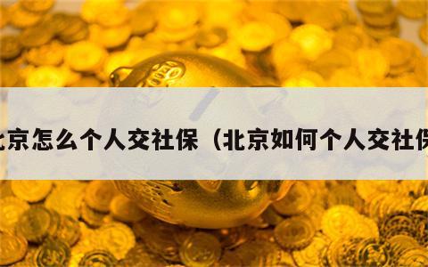 北京怎么个人交社保（北京如何个人交社保）