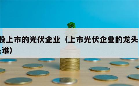 a股上市的光伏企业（上市光伏企业的龙头都是谁）