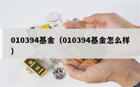 010394基金（010394基金怎么样）