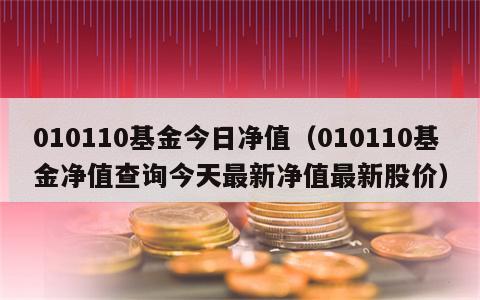 010110基金今日净值（010110基金净值查询今天最新净值最新股价）
