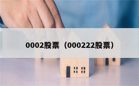 0002股票（000222股票）