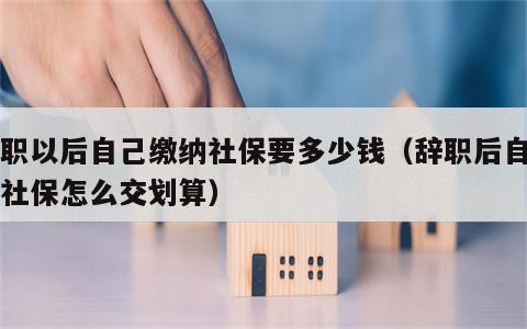 辞职以后自己缴纳社保要多少钱（辞职后自己交社保怎么交划算）
