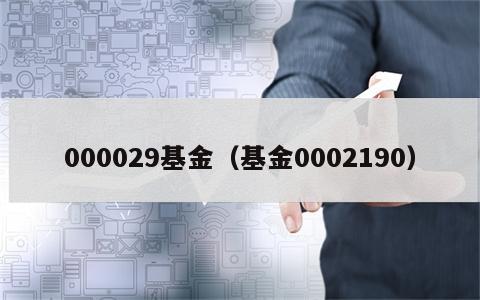 000029基金（基金0002190）