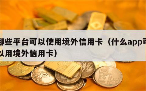 哪些平台可以使用境外信用卡（什么app可以用境外信用卡）