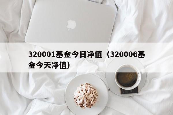 320001基金今日净值（320006基金今天净值）