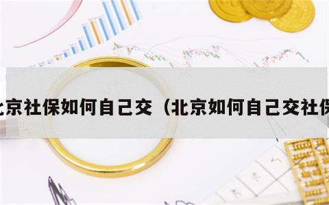 北京社保如何自己交（北京如何自己交社保）
