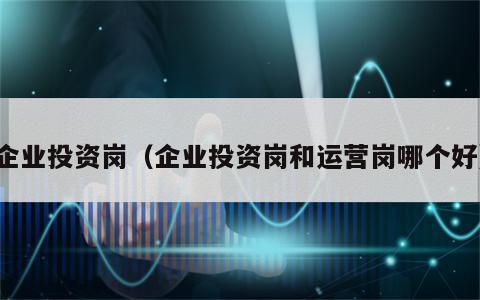 企业投资岗（企业投资岗和运营岗哪个好）