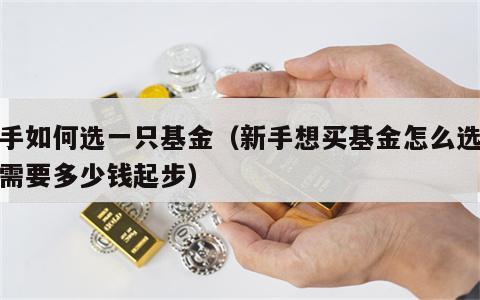新手如何选一只基金（新手想买基金怎么选最少需要多少钱起步）