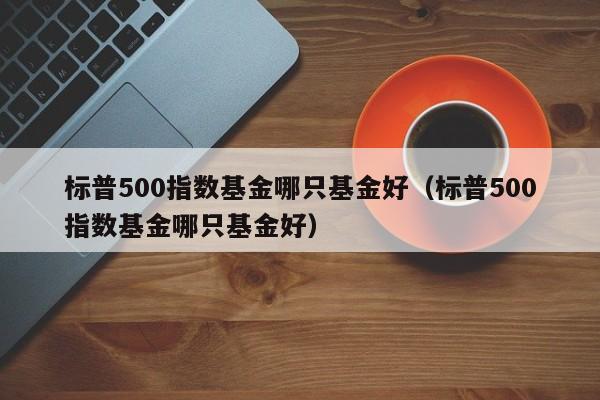 标普500指数基金哪只基金好（标普500指数基金哪只基金好）