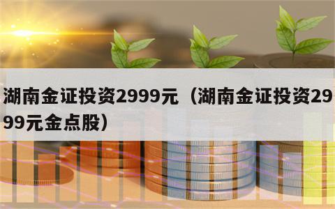 湖南金证投资2999元（湖南金证投资2999元金点股）