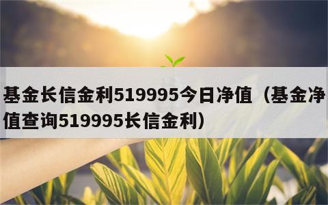基金长信金利519995今日净值（基金净值查询519995长信金利）