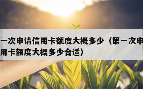第一次申请信用卡额度大概多少（第一次申请信用卡额度大概多少合适）