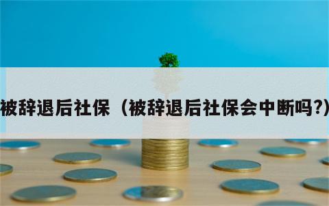 被辞退后社保（被辞退后社保会中断吗?）