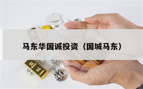 马东华国诚投资（国城马东）