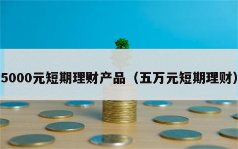 5000元短期理财产品（五万元短期理财）