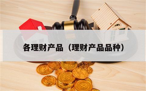 各理财产品（理财产品品种）